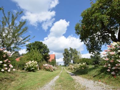 Private Immobilien